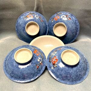 Japanese Cherry Blossom Stoneware Footed Sushi Plates (set of 5)